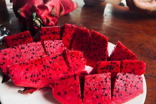 Thanh long ruột đỏ - đặc sản mới của Con Cuông