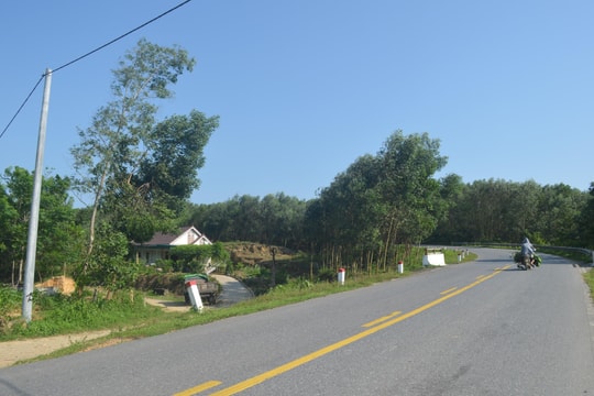 Kiểm tra quản lý nhà nước về đất đai ở xã Thanh Hà (Thanh Chương): Yếu kém toàn diện