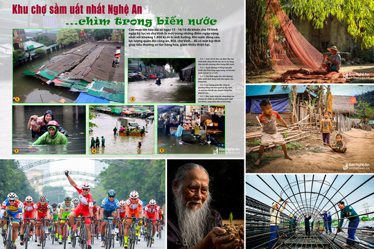 Nâng cao chất lượng và sự đa dạng của các ấn phẩm Báo Nghệ An