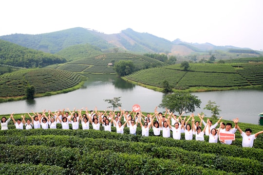 Báo Nghệ An trải nghiệm đảo chè Thanh Chương