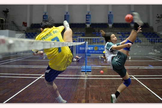 Vận động viên Nghệ An vắng bóng tại SEA Games 30