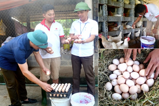 Tân Kỳ xây dựng 4 sản phẩm chủ lực cho chương trình OCOP 