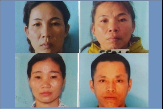 4 người ở Con Cuông (Nghệ An) bị bắt vì chặt phá keo do mâu thuẫn cá nhân