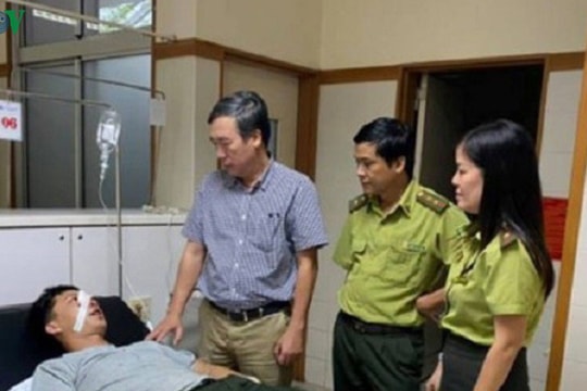 Xông vào trụ sở, đánh cán bộ bảo vệ rừng trọng thương