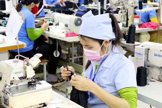 Nghệ An: Mục tiêu 1 tỷ USD kim ngạch xuất khẩu hàng hóa có 'xa'?