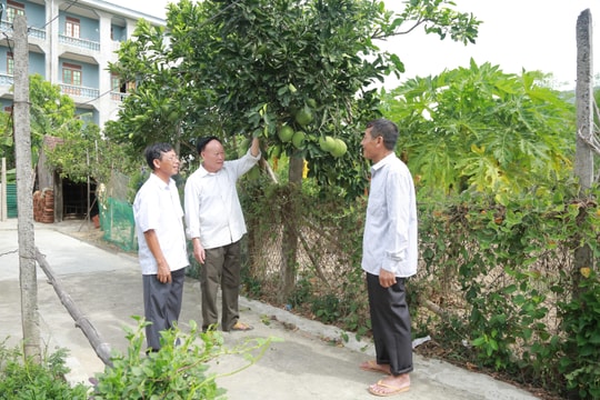 Người hoạt động không chuyên trách không tiếp tục bố trí công tác do giảm chức danh được hỗ trợ gì?