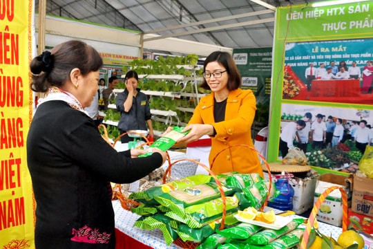 Nhiều doanh nghiệp không mặn mà xây dựng thương hiệu