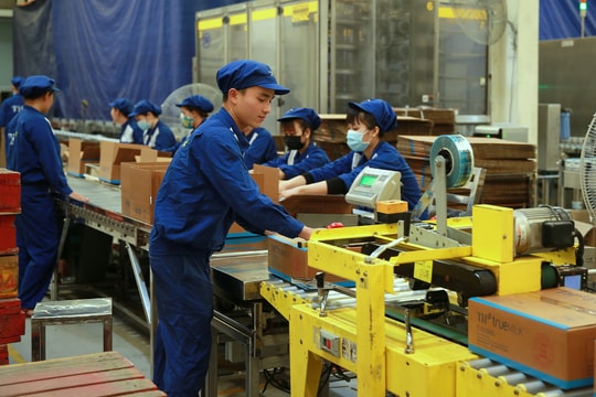 Năm 2019, Nghệ An thu hút 89 dự án với hơn 10 nghìn tỷ đồng đăng ký đầu tư