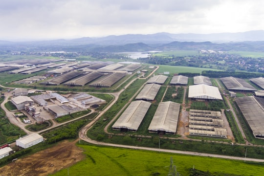 Nghệ An - Quảng Ninh trao đổi về thu hút đầu tư vào nông nghiệp