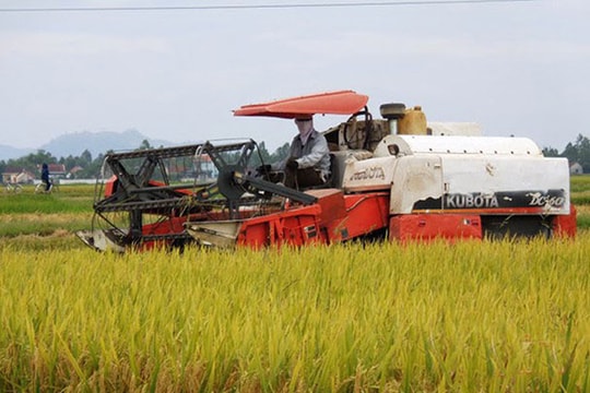 Nhiều vướng mắc, bất cập trong vấn đề dồn điền đổi thửa ở Hưng Nguyên