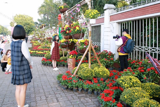 Nghệ An sẽ tổ chức nhiều chợ hoa xuân trên các tuyến đường