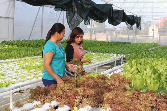 Diễn đàn hợp tác công tư chia sẻ kinh nghiệm về phát triển nhân lực nông thôn