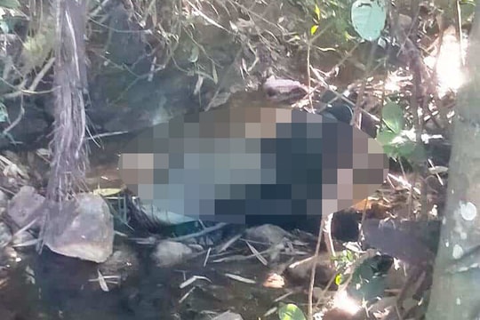 Xác định được danh tính thi thể đang phân hủy ở khe núi