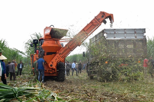 Huyện Tân Kỳ với những đề án kinh tế hiệu quả 