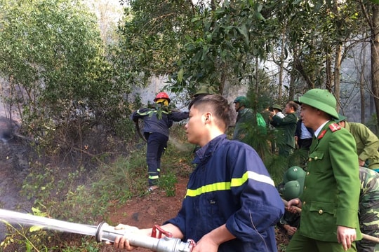 Cháy 0,5 ha rừng thông tại Diễn Châu 