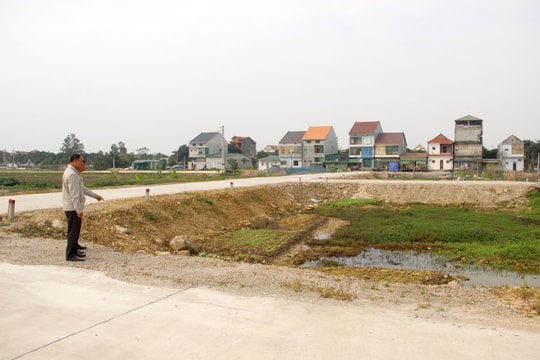 Nhiều huyện đồng bằng Nghệ An đấu giá được hàng trăm lô đất