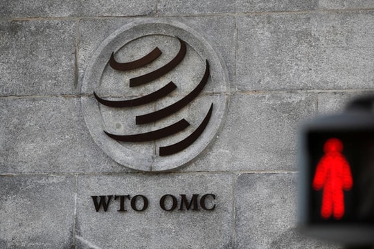 WTO 'tê liệt': Tranh chấp thương mại được xử bằng 'luật rừng'?