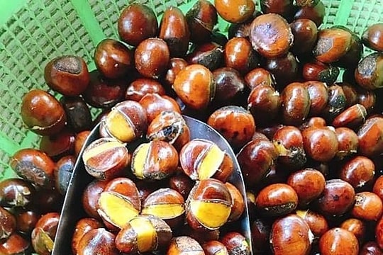 Hạt dẻ Trung Quốc gắn mác Sapa đổ về Việt Nam