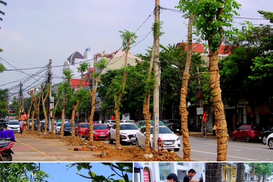 TP. Vinh tập trung chỉnh trang phố đi bộ kịp khai trương vào Tết Dương lịch 2020