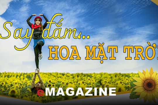 Về xứ Nghệ đắm say với Lễ hội hoa mặt trời