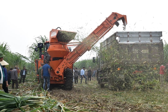 Dồn điền, đổi thửa để cơ giới hóa vùng mía Tân Kỳ