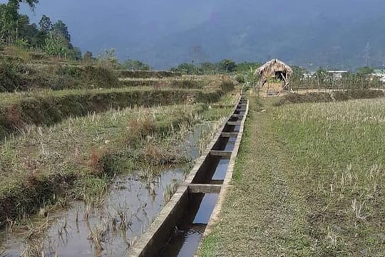 Xác định danh tính thi thể người đàn ông dưới mương nước