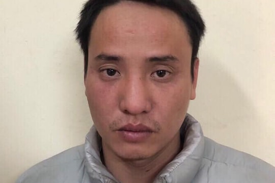 Bắt gã trai trộm đồ cổ trị giá hàng tỷ đồng rồi chôn ở bãi đất hoang