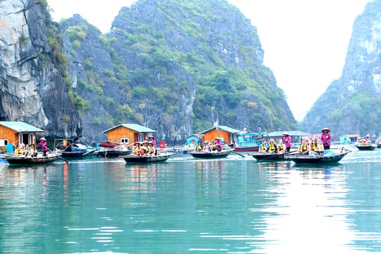 Tỉnh nào ở Việt Nam chưa có thành phố, tỉnh nào nhiều thành phố nhất?