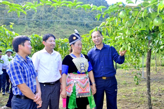 Chi tiết sáp nhập xóm, bản tại các huyện Kỳ Sơn, Tương Dương