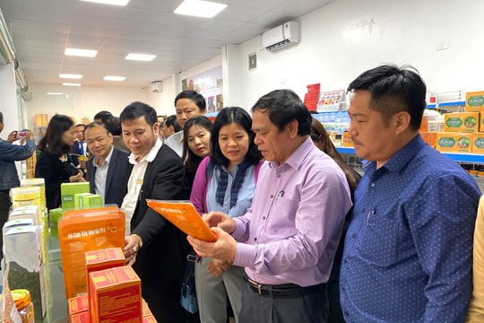 Đẩy mạnh huy động các nguồn lực đầu tư xây dựng hạ tầng trọng yếu ngành Công Thương