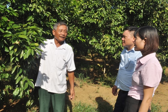 Nghệ An: Khẳng định hiệu quả tín dụng chính sách