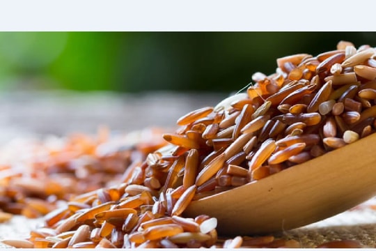 Người “biến” gạo thành thảo dược quý