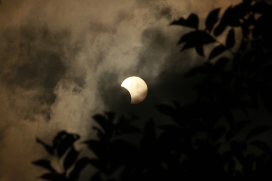 Xuất hiện nhật thực  trên bầu trời Nghệ An