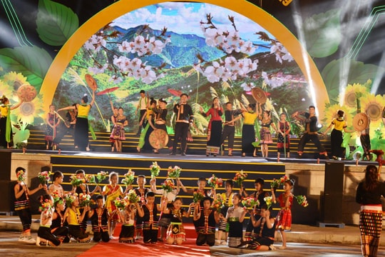 Nghệ An: Khai mạc Lễ hội Hoa Hướng dương 2019