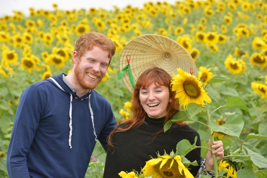 Du khách nước ngoài mê mẩn với cánh đồng hoa hướng dương Nghệ An