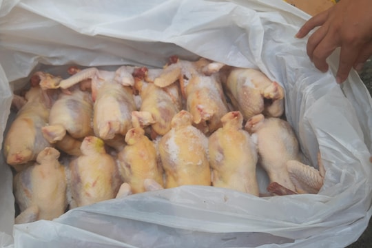 Phát hiện gần 219 kg thịt bò, gà thịt không đầu, nội tạng không rõ nguồn gốc