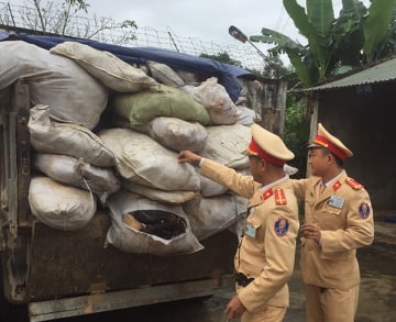 3,5 tấn da trâu, bò bốc mùi hôi thối chuẩn bị bán Tết