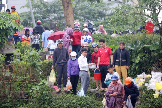 Chen chân thả cá ngày ông Công ông Táo về trời