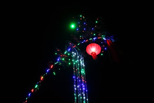 Ánh sáng 'mê hoặc' của những cung đường nêu đón Tết ở Nghệ An