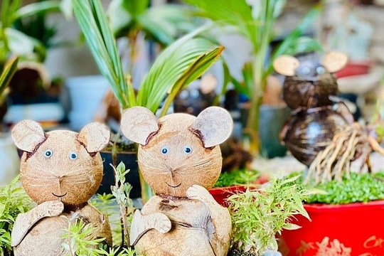 Dừa bonsai hình chuột đặc biệt 'hút' khách