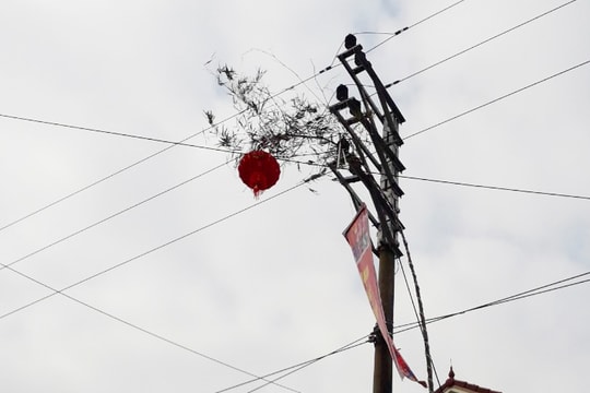 Nguy cơ mất an toàn lưới điện từ những cây nêu ngày Tết 