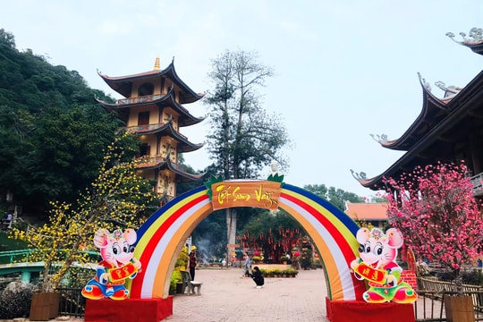 Lung linh cảnh sắc đón Tết Canh Tý ở chùa Cổ Am