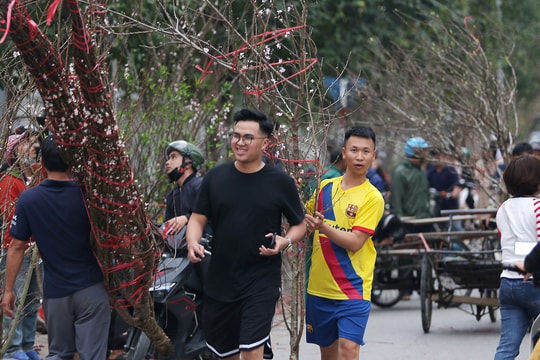 Nghệ An: Tấp nập mua đào, quất giá rẻ ngày 29 Tết