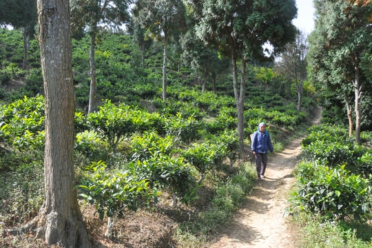 Khát vọng trên đỉnh Chông Tà Già