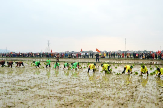 Nghệ An tổ chức lễ hội xuống đồng và Tết trồng cây 'Nông dân ơn Bác'