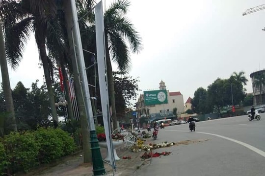 Xác minh người đập phá các chậu hoa cảnh ở Thành phố Vinh