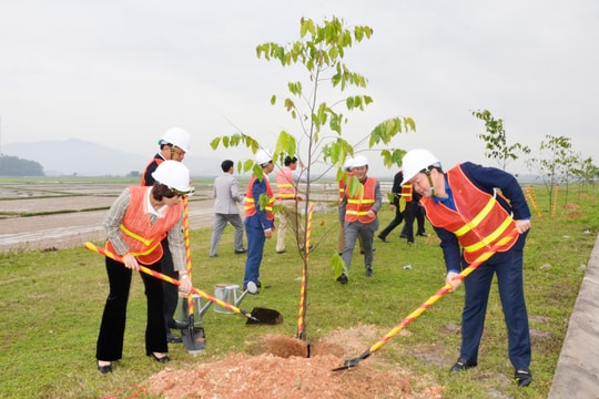 Sở GTVT Nghệ An tổ chức Tết trồng cây