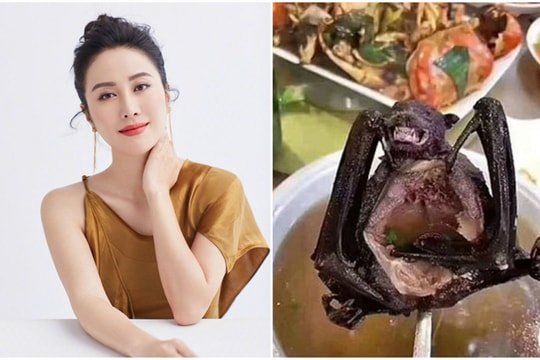 Loạt sao bị chỉ trích, yêu cầu rời showbiz vì từng ăn thịt dơi