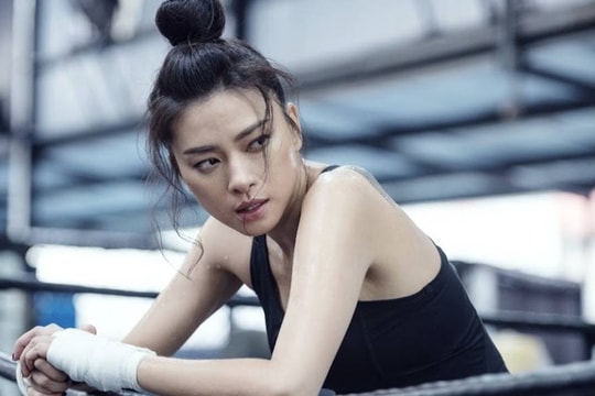 Ngô Thanh Vân vắng mặt, Sở TT&TT khẳng định sẽ xử nghiêm