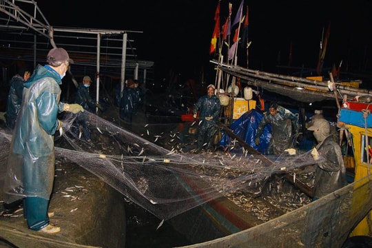 Khởi sắc những chuyến biển đầu năm mới nơi địa đầu xứ Nghệ 